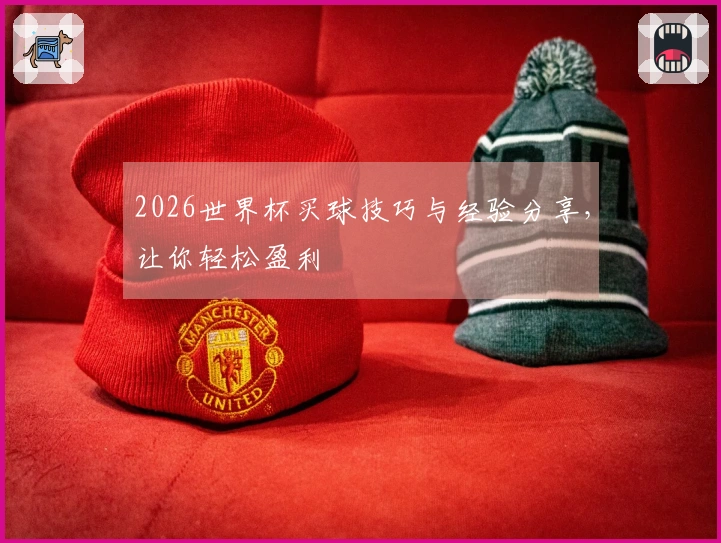 2026世界杯买球技巧与经验分享，让你轻松盈利
