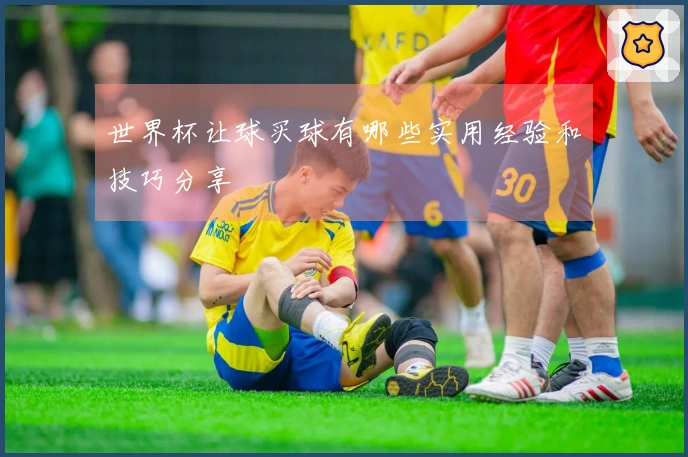 世界杯让球买球有哪些实用经验和技巧分享