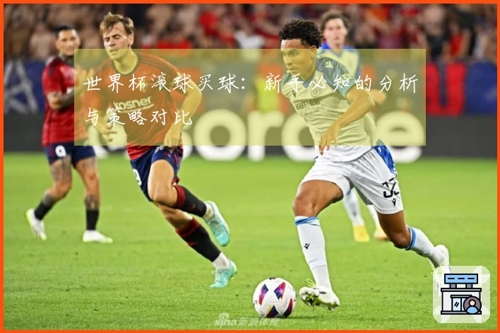 世界杯滚球买球：新手必知的分析与策略对比