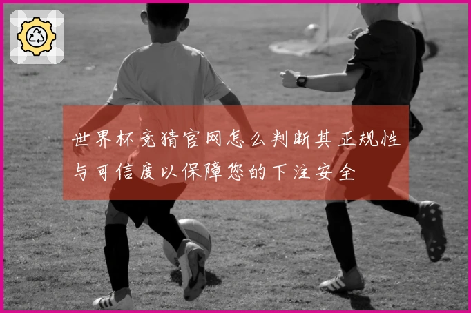 世界杯竞猜官网怎么判断其正规性与可信度以保障您的下注安全