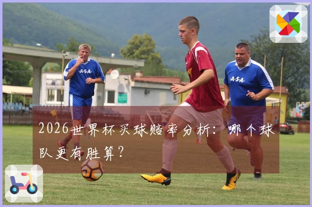 2026世界杯买球赔率分析：哪个球队更有胜算？