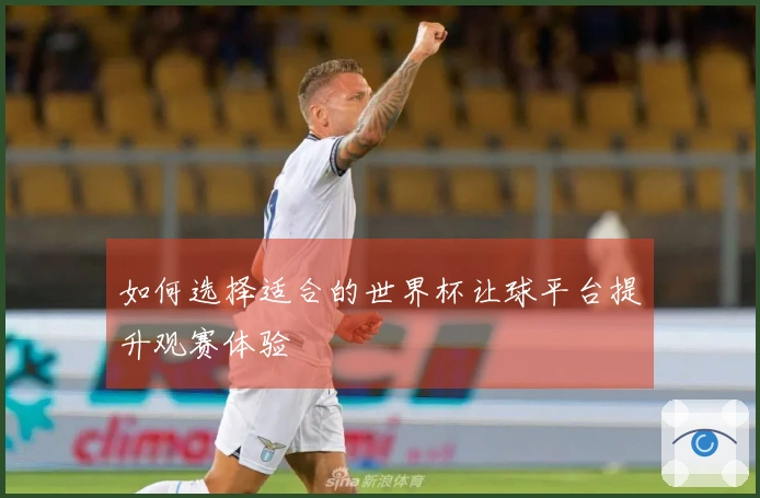 如何选择适合的世界杯让球平台提升观赛体验