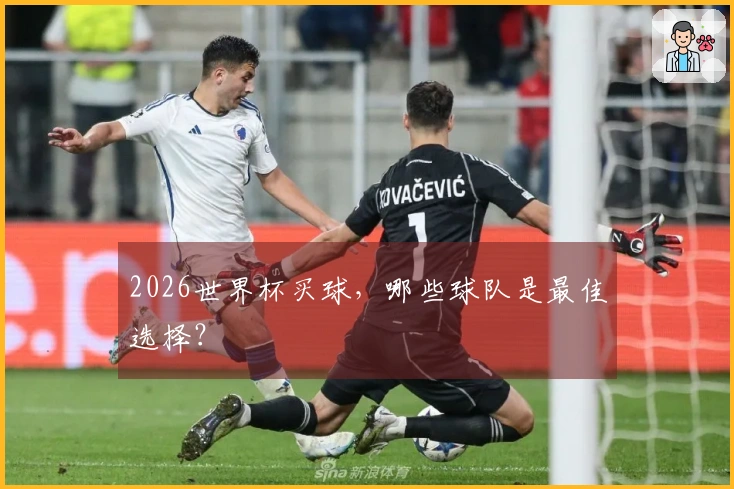 2026世界杯买球，哪些球队是最佳选择？