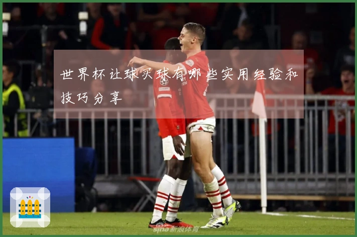 世界杯让球买球有哪些实用经验和技巧分享