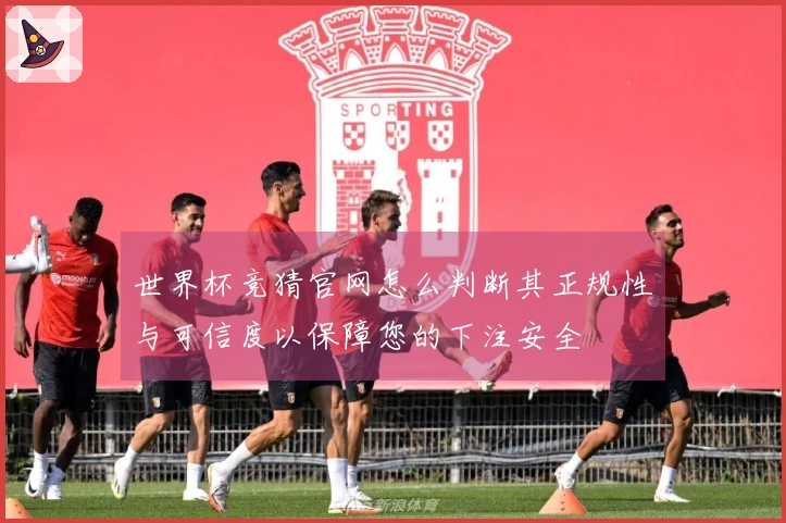 世界杯竞猜官网怎么判断其正规性与可信度以保障您的下注安全