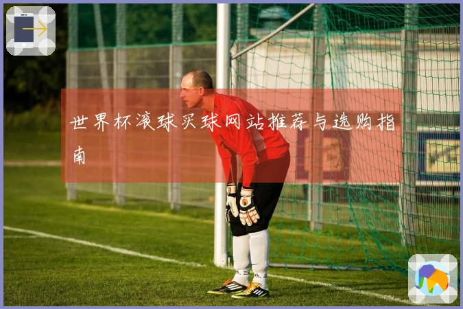 世界杯滚球买球网站推荐与选购指南
