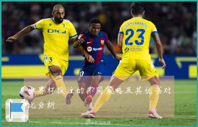 世界杯投注的不同策略及其优劣对比分析