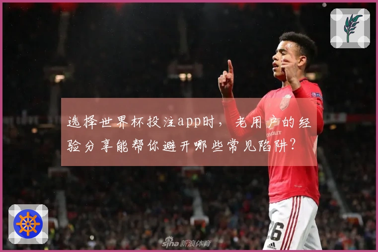 选择世界杯投注app时，老用户的经验分享能帮你避开哪些常见陷阱？